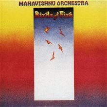 Birds of Fire