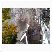 本日愛媛県久万高原は雪