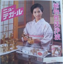 大掃除の時に借りようか…