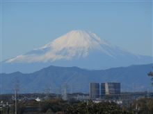 風の強い一日