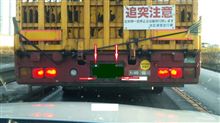 新しい発見