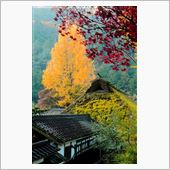 香嵐渓　昼の顔夜の顔　紅葉狩 ...