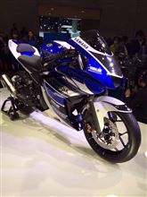 YZF-R25