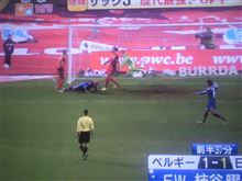 観てて面白かった♪