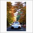 紅葉ドライブ（滋賀県）