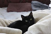 ネロ