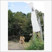 試験の息抜きに、愛犬連れて・ ...