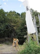 試験の息抜きに、愛犬連れて・・・