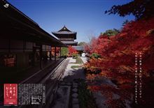 秋の京都 2013
