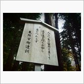 本日