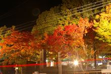 紅葉　その２　夜編