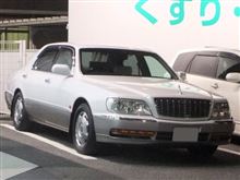 白いプラウディア