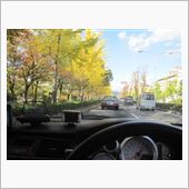 遅い紅葉の京都は、現在盛りで ...