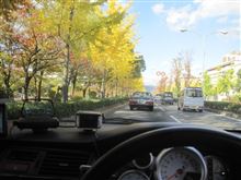 遅い紅葉の京都は、現在盛りです。