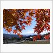 紅葉狩りと富士山　午後の部