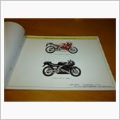 TZR250 3MA ﾊﾟｰ ...