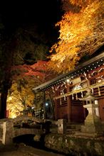 そろそろ紅葉も終わりかな・・・