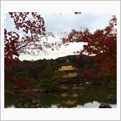 秋の京都は最高でした。