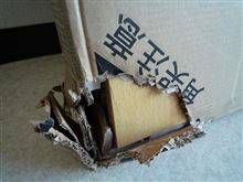 ペリカン… (-_-メ)