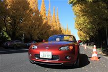 気持ちの良い休日になりました♪ 気持ちの良い休日になりました♪
