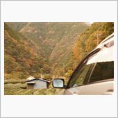 異音解消後の紅葉(^_^)/