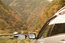 異音解消後の紅葉(^_^)/