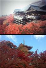清水寺の紅葉