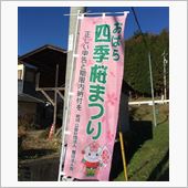 桜と紅葉の絶妙な・・・不思議 ...