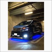 Team ALVELLのオフ ...