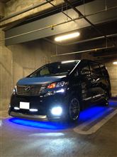 Team ALVELLのオフに行ってきました☆