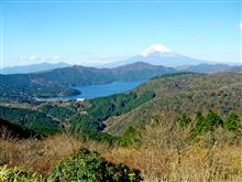 箱根 大観山から富士を見る。