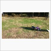 穏やかな休日は。♪