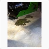 弟のバイク