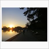水元公園～星乃珈琲野田店サイ ...