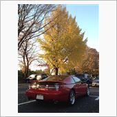 紅葉の公園散策♪