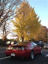 紅葉の公園散策♪