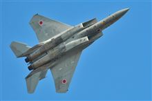ヒコーキ視てきたｗ