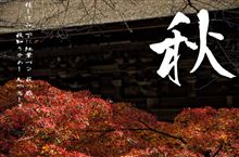 秋 漫ろ歩く。 そんな中、何故か単焦点レンズに想いが耽る。 秋 漫ろ歩く。 そんな中、何故か単焦点レンズに想いが耽る。