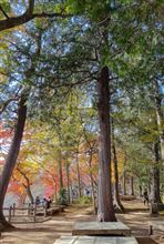 大平山の紅葉と名物