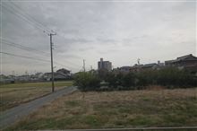 才ノヽ∋―_φ(゜▽゜*)♪ 【2013/11/25】