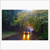 Rainy Days And ...
