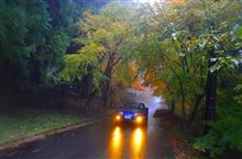Rainy Days And Mondays