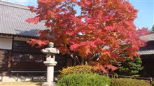 2013年 京都紅葉観光 2013年 京都紅葉観光