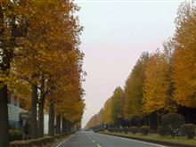 今週も始まりました、紅葉とパン。月曜日。