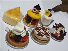 撮影用品?食器?