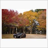 比叡山　紅葉ツーリング
