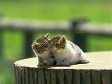 一つの山を越える事が出来ましたので…