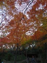 摂津峡公園