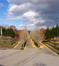 I　 LOVE  FUKUSIMA…の想いは変わらず