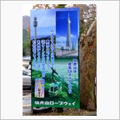 弥彦山
